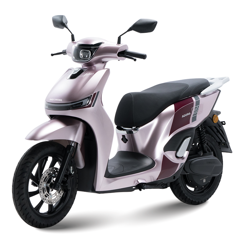 Sakura Blossom Livery